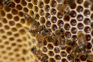 séjour calme et authentique