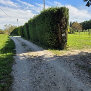 Chemin